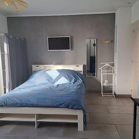 Studio Dans Maison Avec Jardin Et Balcon, Au Calme Sérézin-du-Rhône Eksteriør bilde