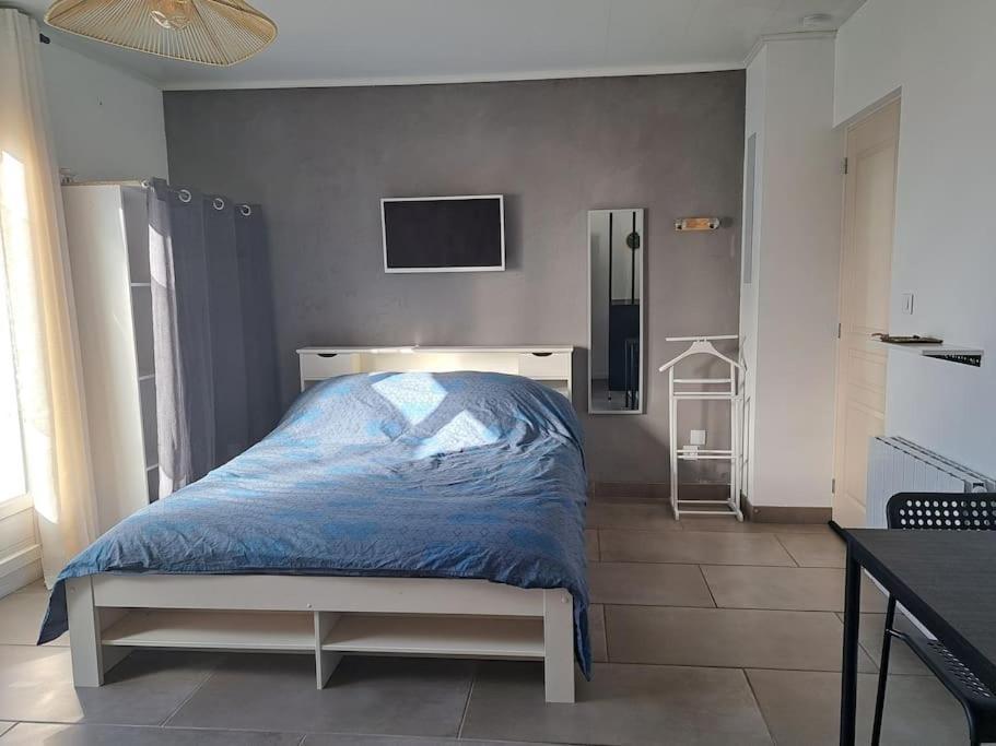 Studio Dans Maison Avec Jardin Et Balcon, Au Calme Sérézin-du-Rhône Eksteriør bilde
